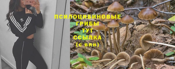 кокаин перу Заводоуковск