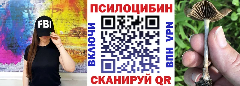 Купить закладки  Волгодонск  Псилоцибиновые грибы MAGIC MUSHROOMS 